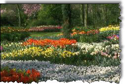 Flower Garden